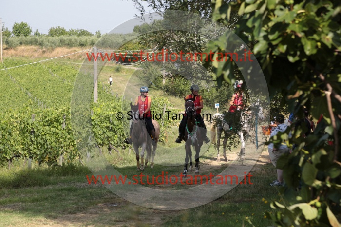 MAT_7657.JPG