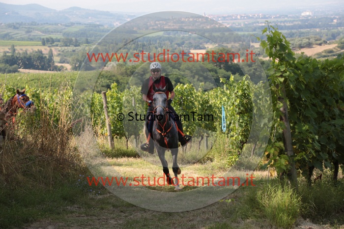 MAT_7706.JPG