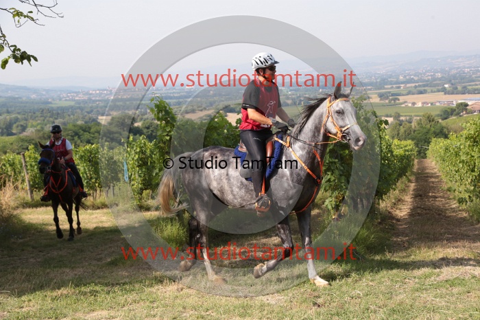 MAT_7720.JPG