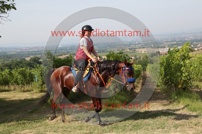 MAT_7732.JPG