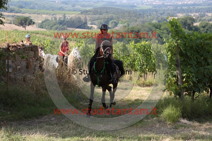 MAT_7790.JPG