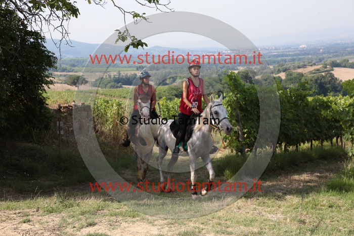 MAT_7809.JPG