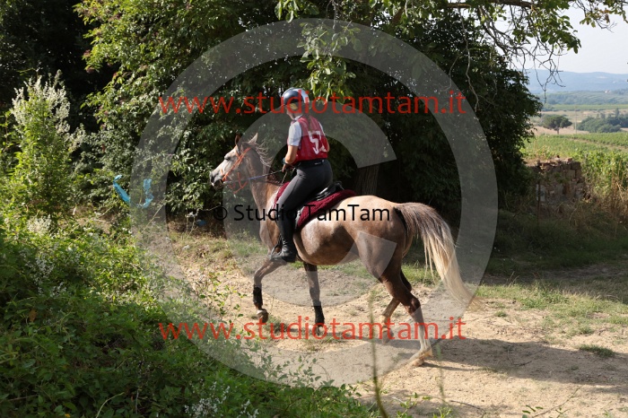 MAT_7931.JPG
