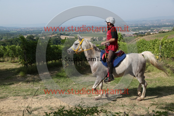 MAT_7978.JPG