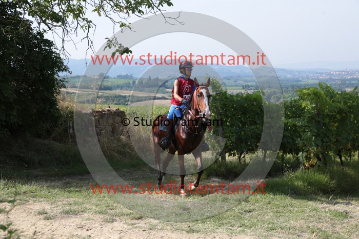 MAT_8132.JPG
