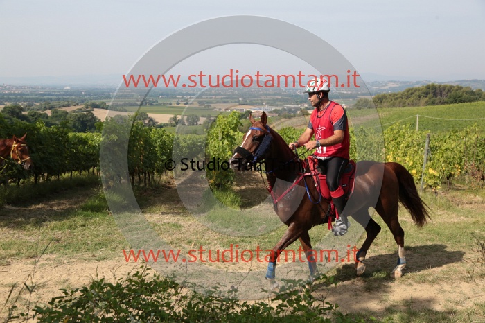 MAT_8224.JPG