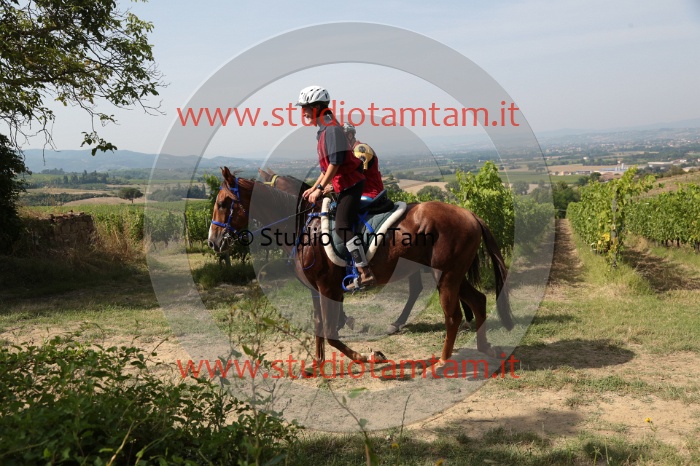 MAT_8320.JPG