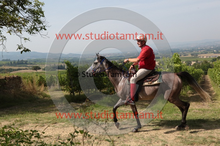 MAT_8333.JPG