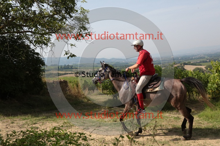 MAT_8334.JPG