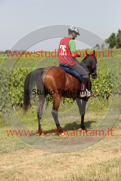 MAT_8509.JPG