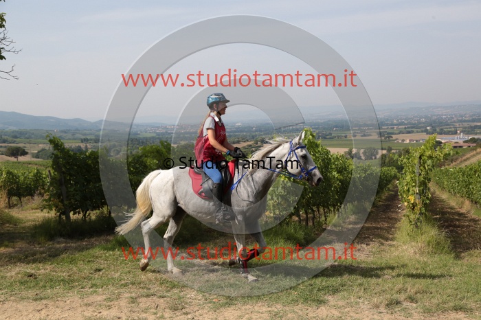 MAT_8583.JPG