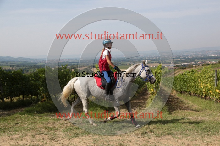 MAT_8584.JPG
