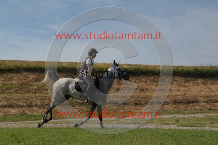 MAT_8358.JPG