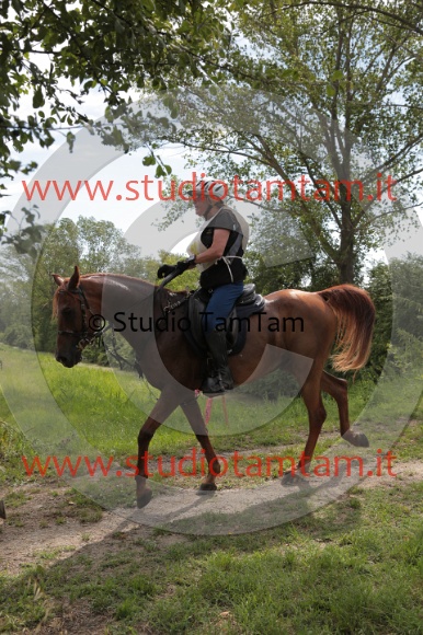 MAT_8466.JPG