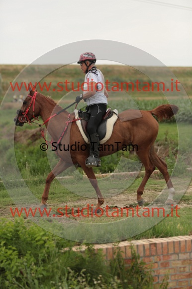 MAT_8888.JPG
