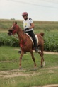 MAT_8886