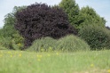 MAT_8322