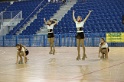 MAT_2866