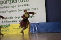 MAT_4568