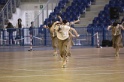 MAT_7249