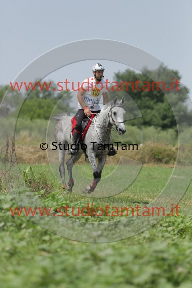 MAT_0859.JPG