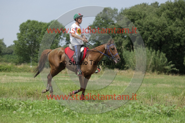MAT_0881.JPG
