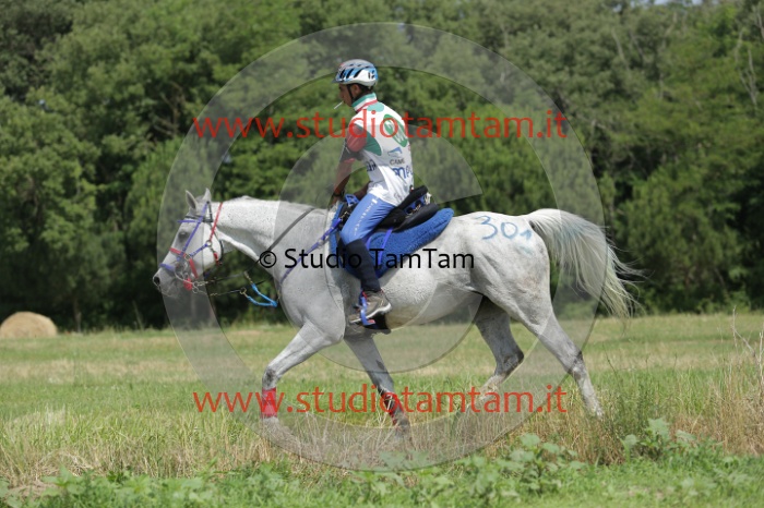 MAT_0509.JPG