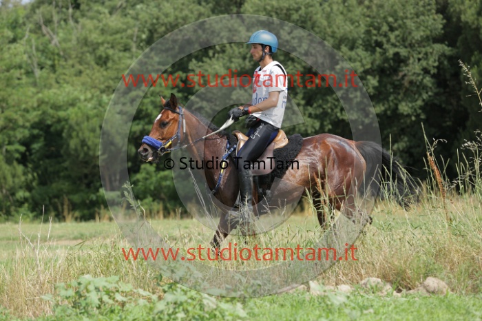 MAT_0590.JPG