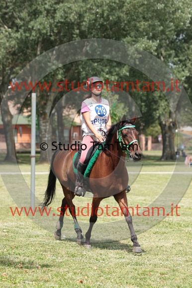 IMGB0259.JPG