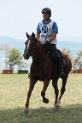 IMGB0743