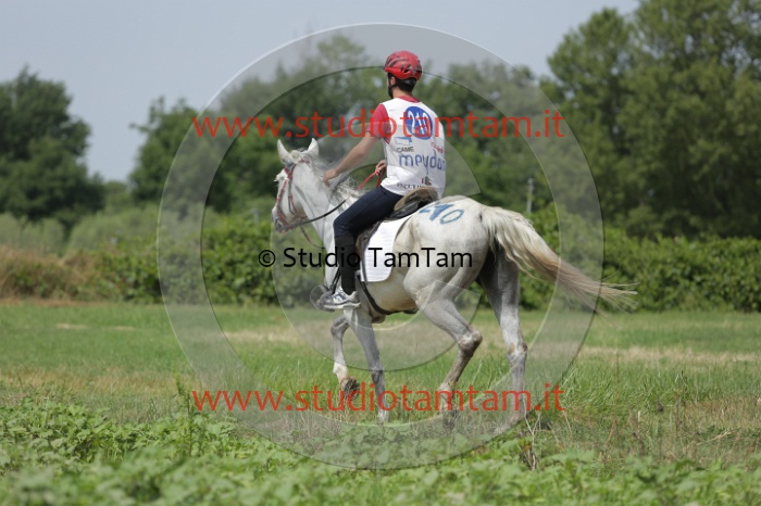 MAT_0795.JPG