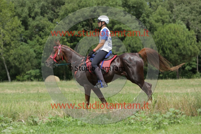 MAT_0821.JPG