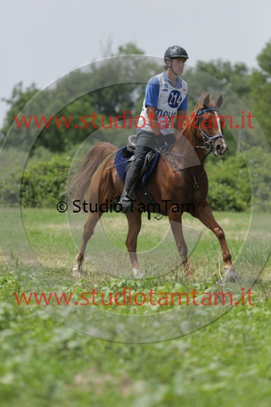 MAT_1555.JPG
