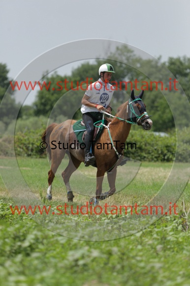MAT_1595.JPG
