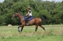MAT_0720