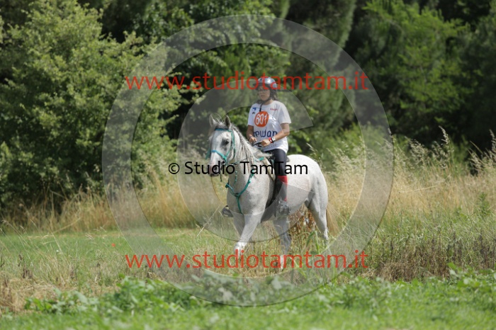 MAT_0320.JPG