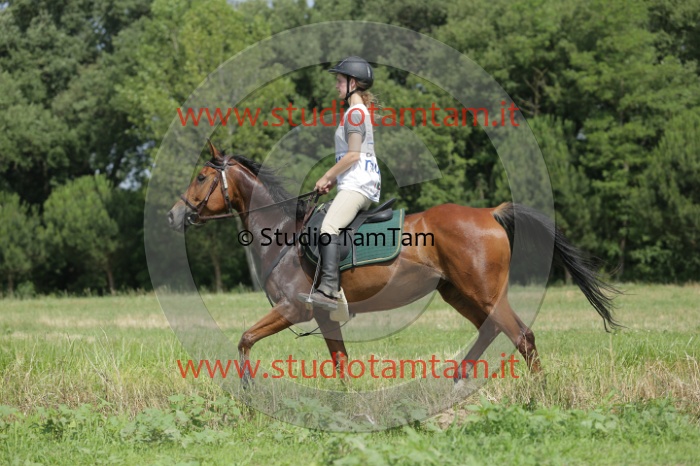 MAT_0347.JPG