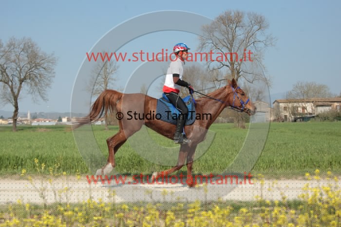 IMGB3813.JPG