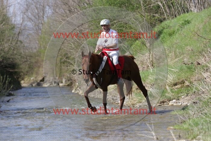 MAT_9846.JPG