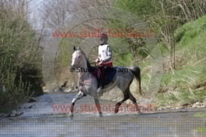 MAT_9855.JPG