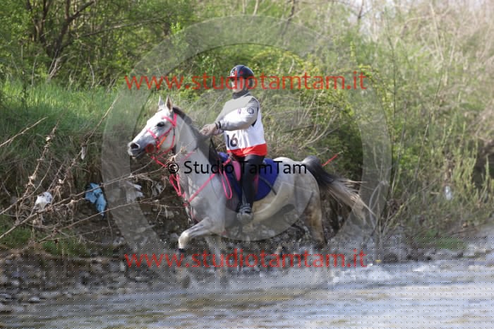 MAT_9860.JPG