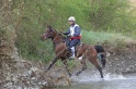 MAT_9508
