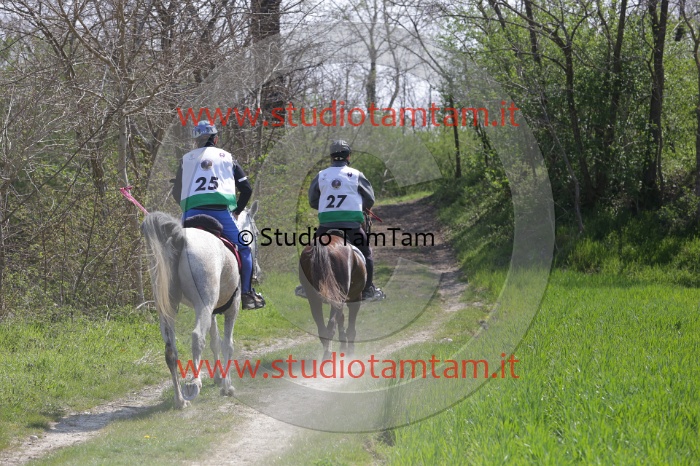 MAT_0130.JPG