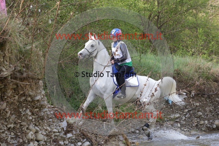 MAT_9574.JPG