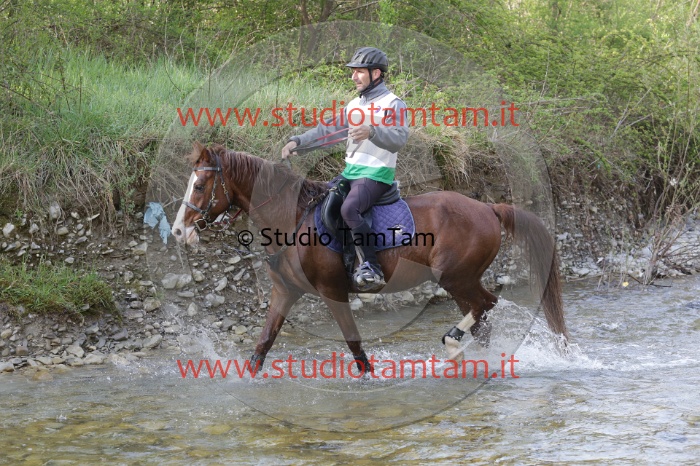 MAT_9614.JPG
