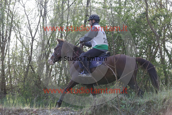 MAT_9624.JPG