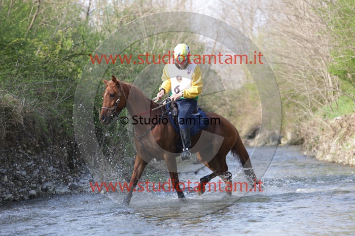MAT_9649.JPG