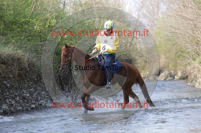 MAT_9650.JPG
