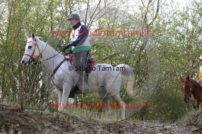 MAT_9662.JPG