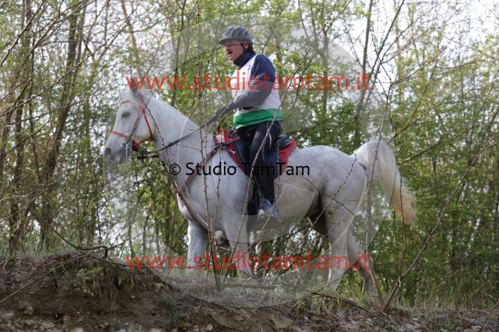 MAT_9664.JPG